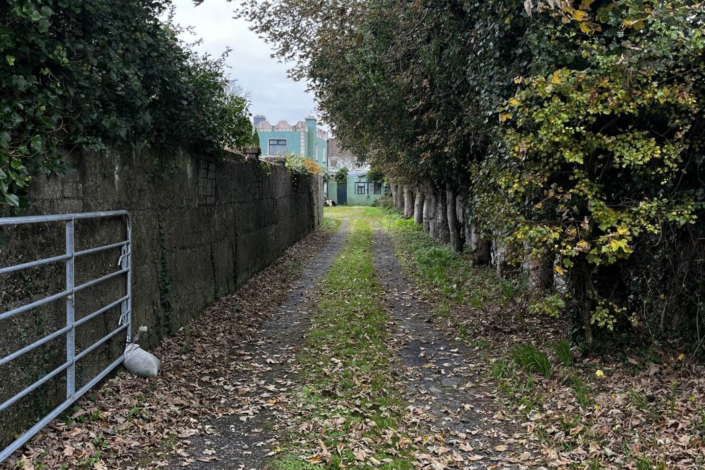 Glenville, Maunsells Road, Galway, Co. Galway, H91WYH2