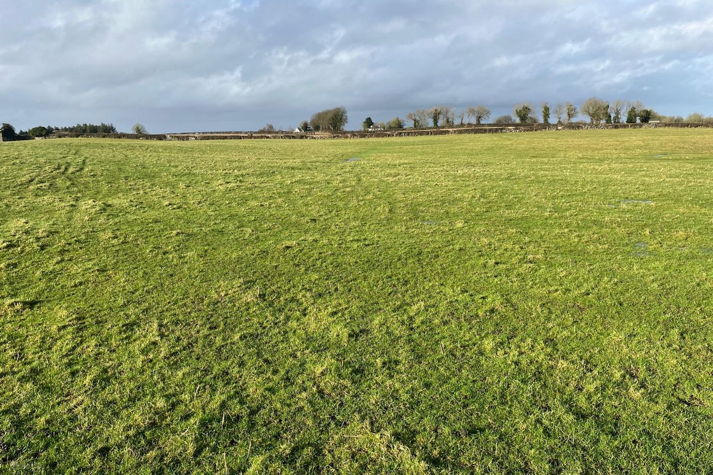 Roran, Terryglass, Co. Tipperary