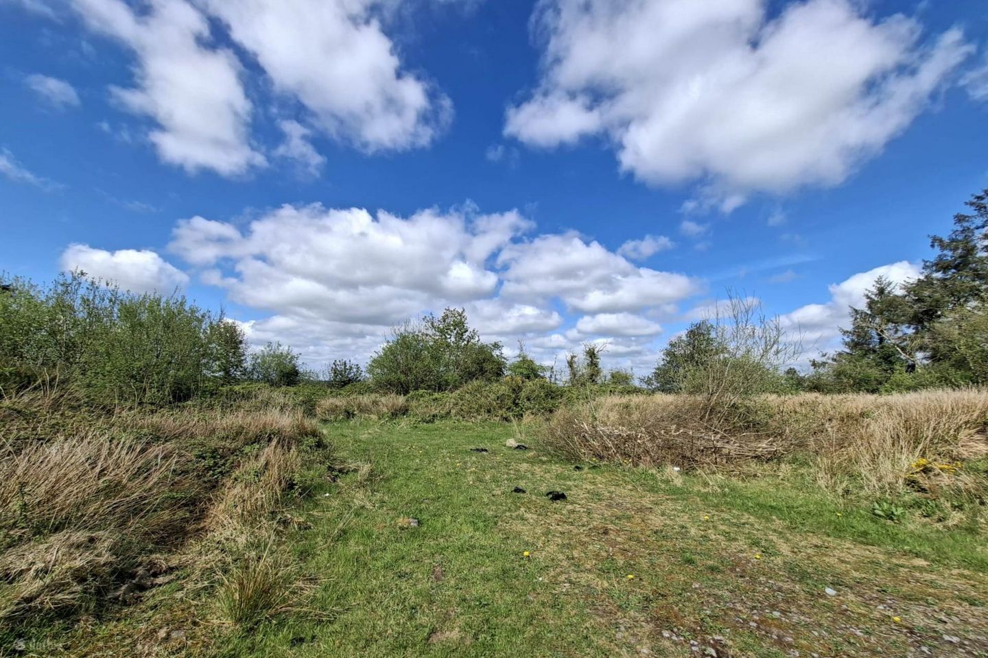 C. 1 Acre Site (Subject To Planning), Tallavnamraher (Mount Mary), Tallavnamraher, Creggs, Co. Galway