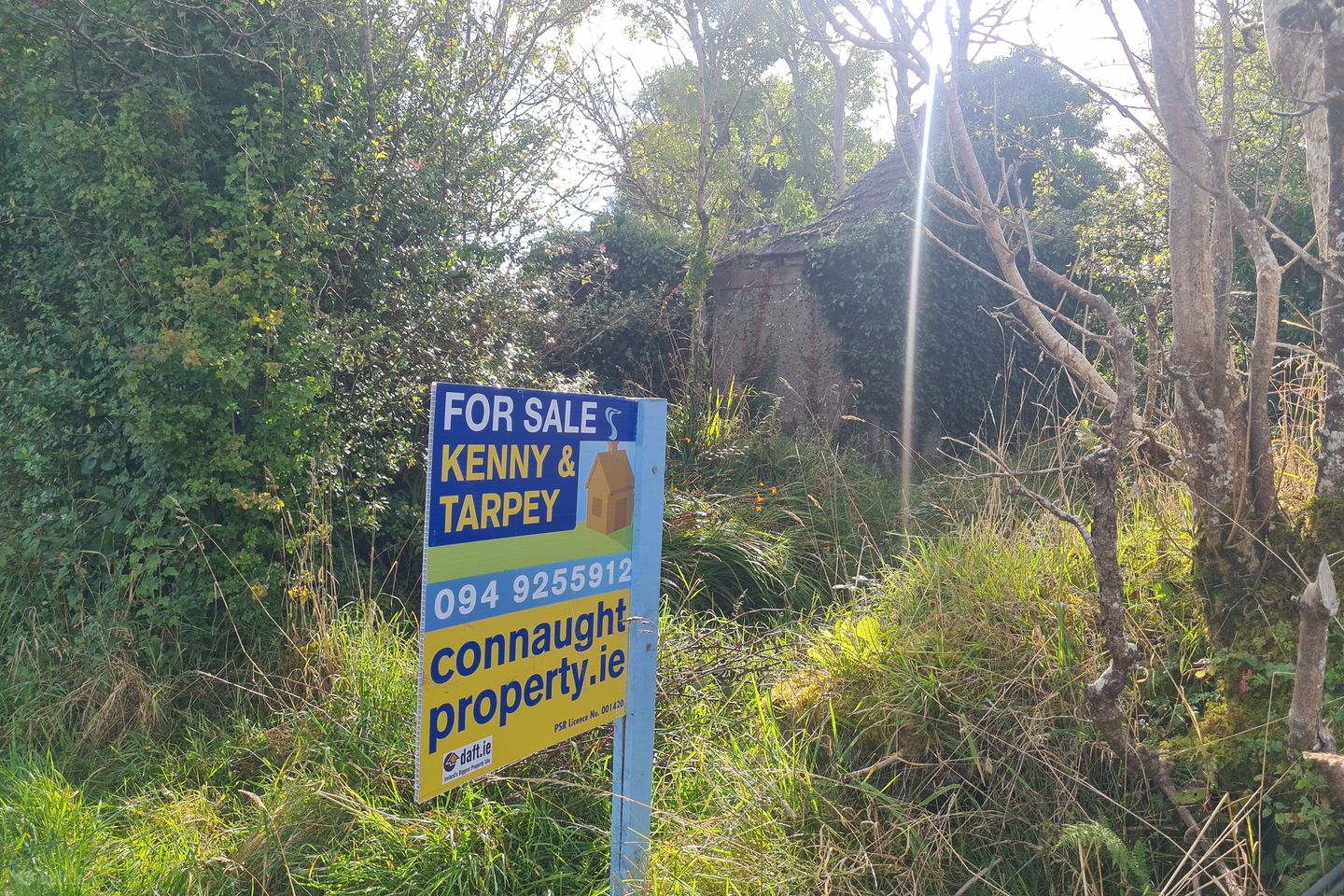 Park, Carracastle, Co. Mayo