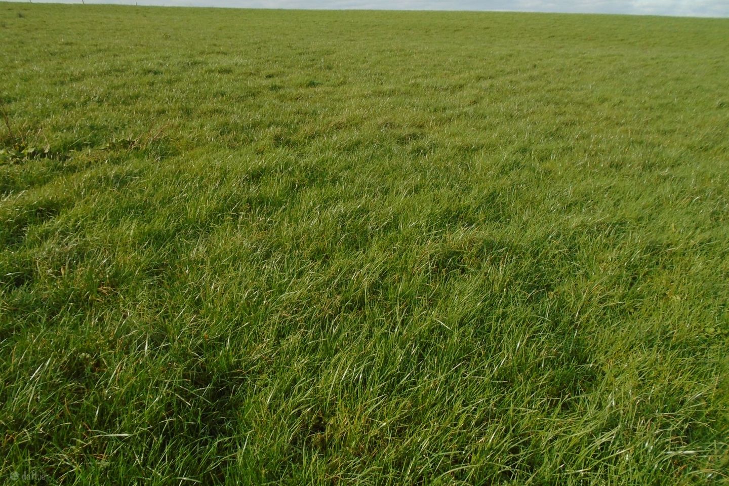 Kilmadum, Ballyfoyle, Ballyfoyle, Co. Kilkenny