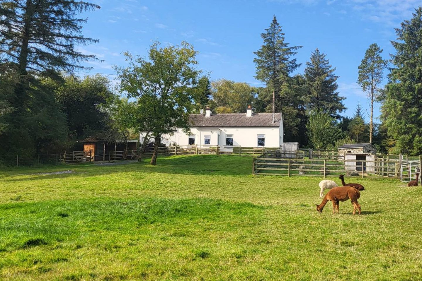 Curraduff Farm, Curraduff, Oughterard, Co. Galway, H91R2Y7