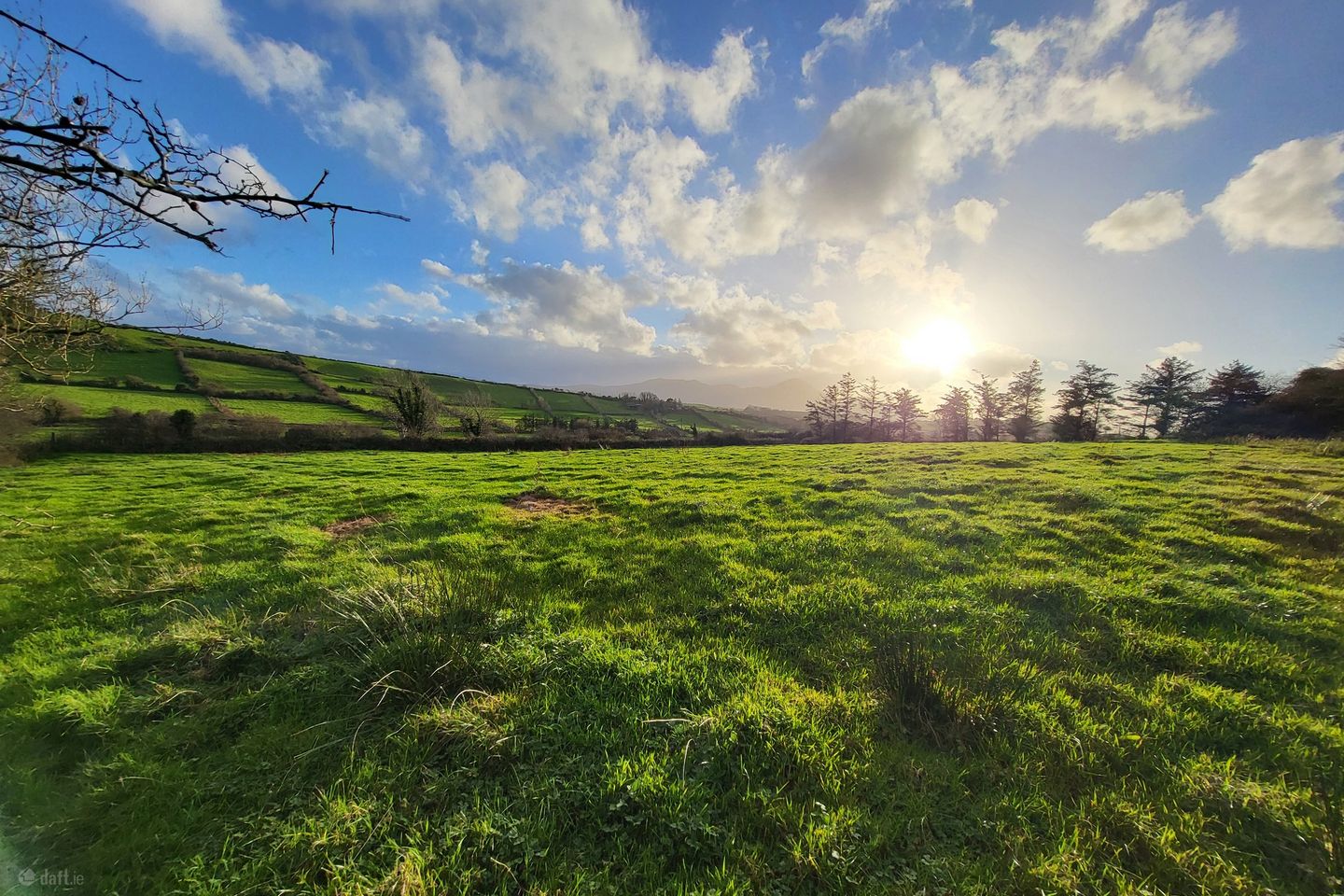 Buckfield, Kilmeena, Co. Mayo