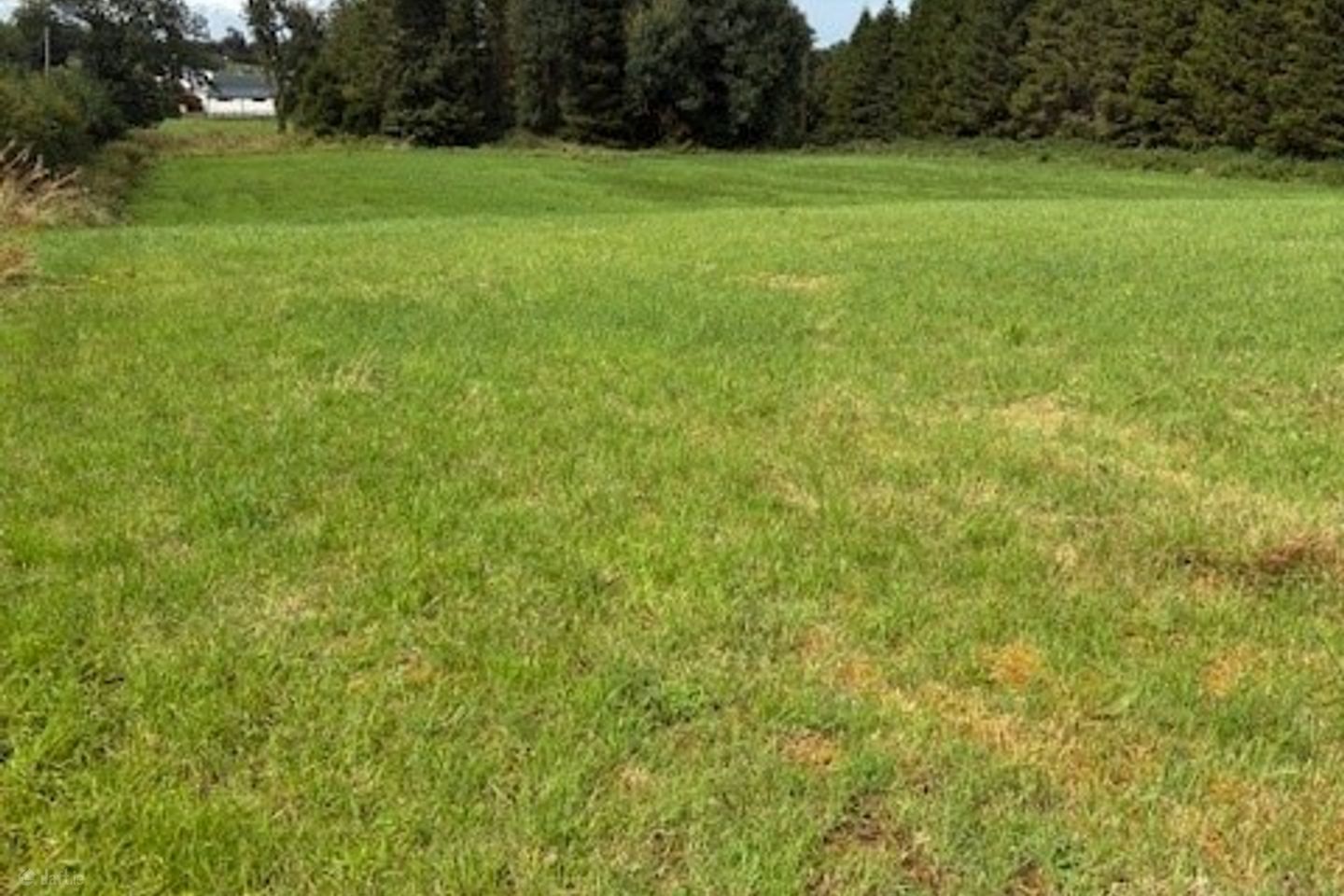 Griffinstown, Coralstown, Kinnegad, Co. Westmeath