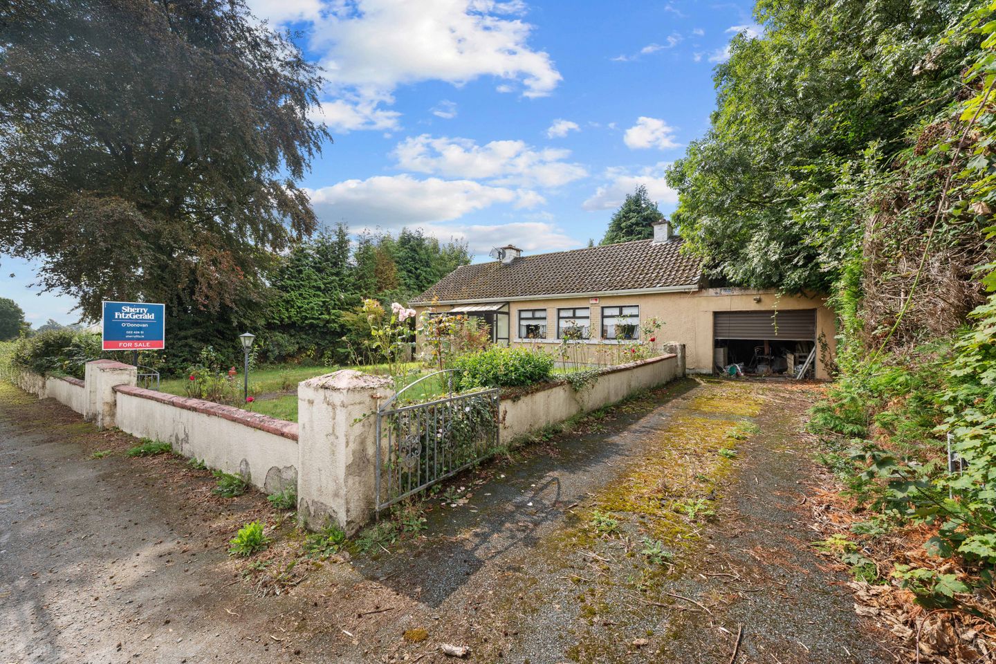 Carrigaunroe, Shanballymore, Co.. Cork., P51YV57