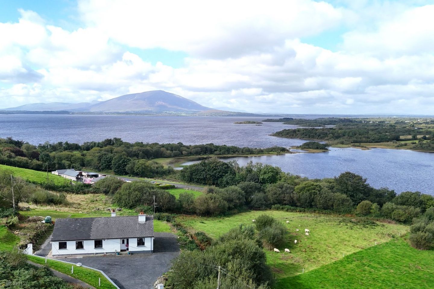 Tavanaghmore, Foxford, Co. Mayo, F26YN67