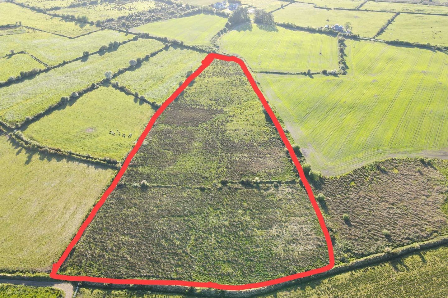 Logalisheen South, Ballindine, Co. Mayo