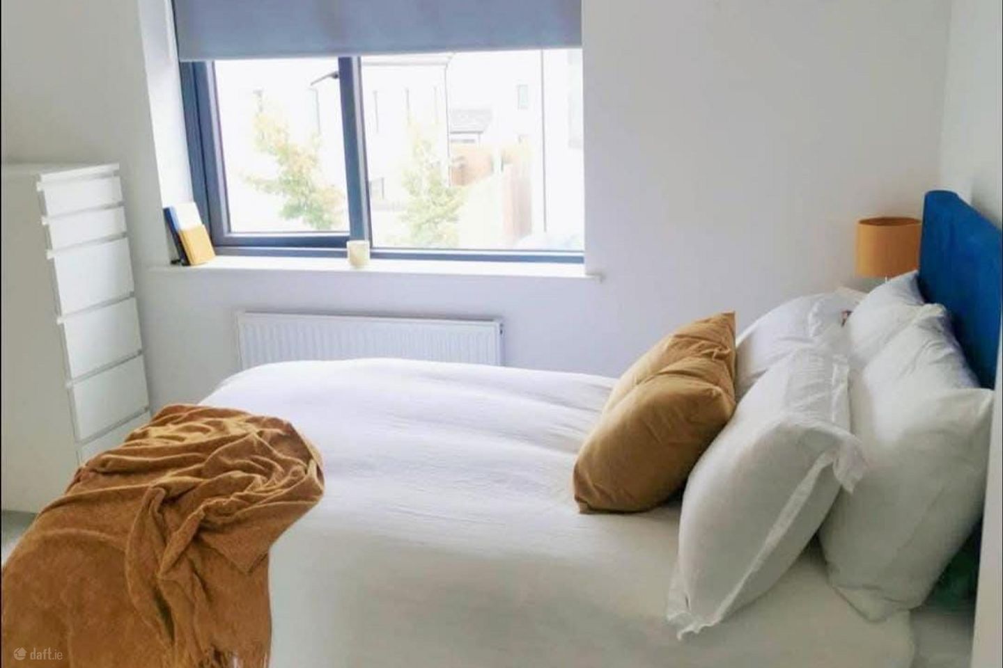Scholarstown Wood, Dublin 16, Ballyboden, Co. Dublin