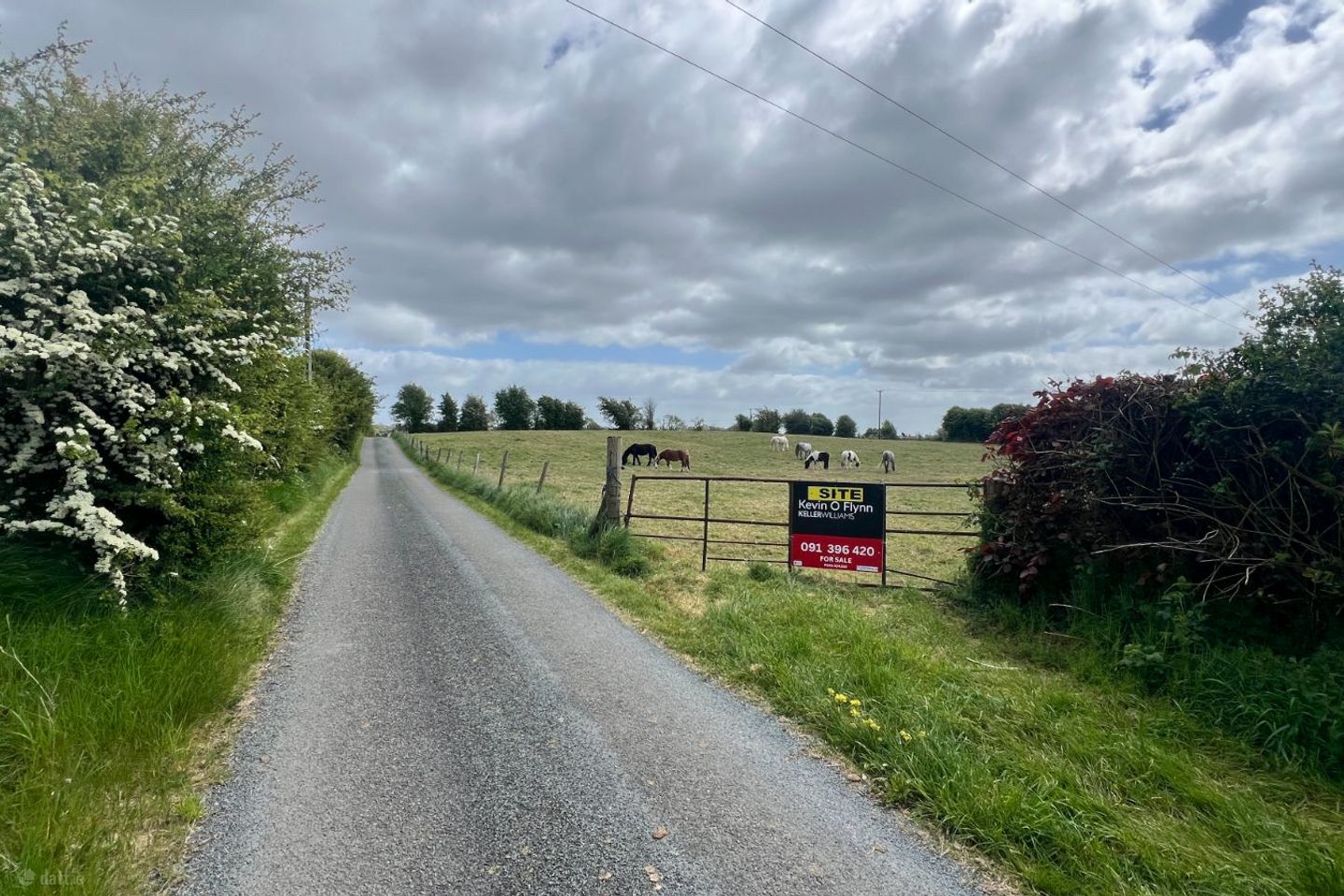 Earlspark, Ballinasloe, Feevagh, Co. Roscommon, H53T886