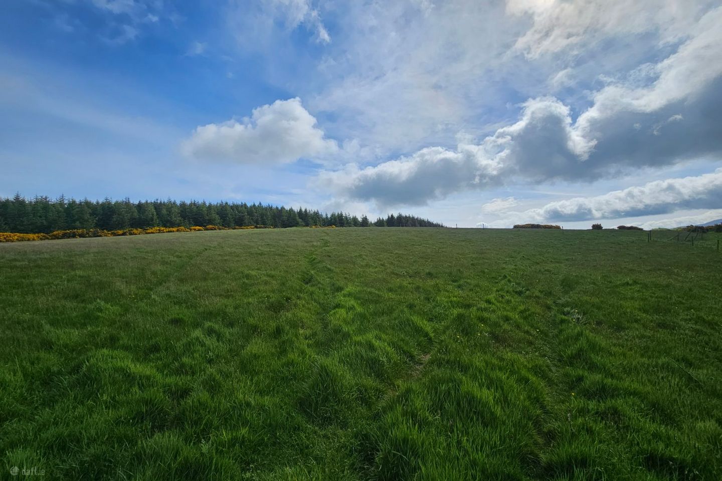 Slieveroe, Ballymore Eustace, Co. Kildare