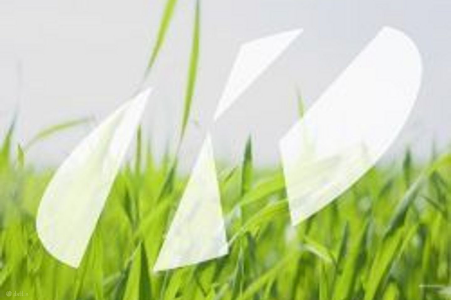 Coolcotts Lane, Wexford , Wexford Town, Co. Wexford