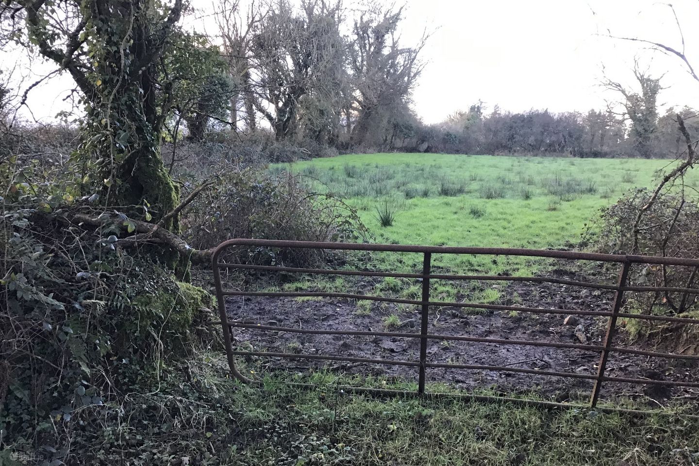 Carrowreagh, Milltown, Co. Galway