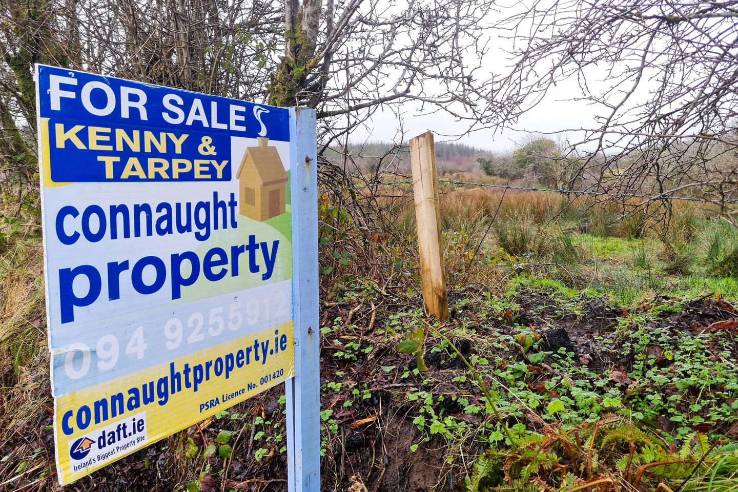 Cully, Charlestown, Co. Mayo