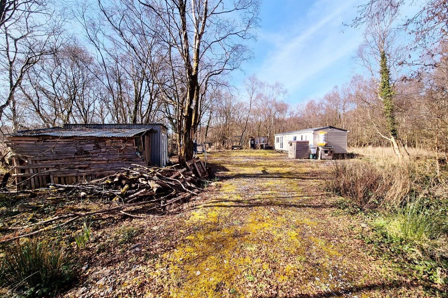 Birch Farm, Derrinaher, Dromahair, Co. Leitrim