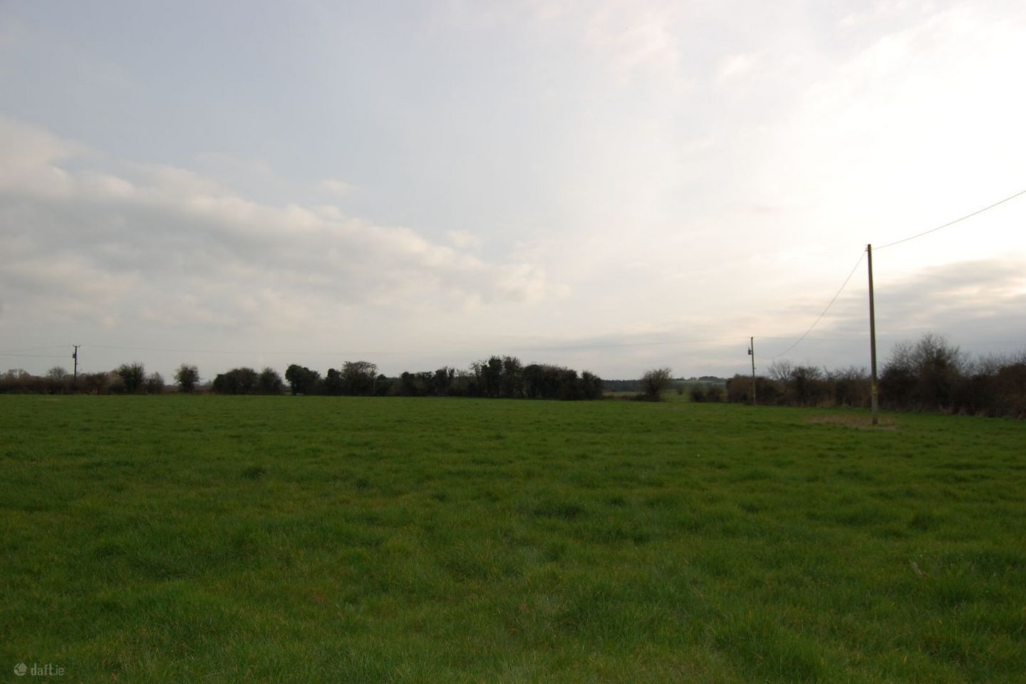 Ballyculhane, Kildimo, Co. Limerick