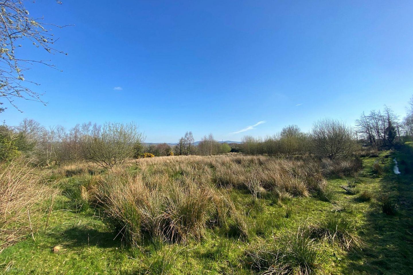 Corgary, Ballybofey, Co Donegal, Ballybofey, Co. Donegal