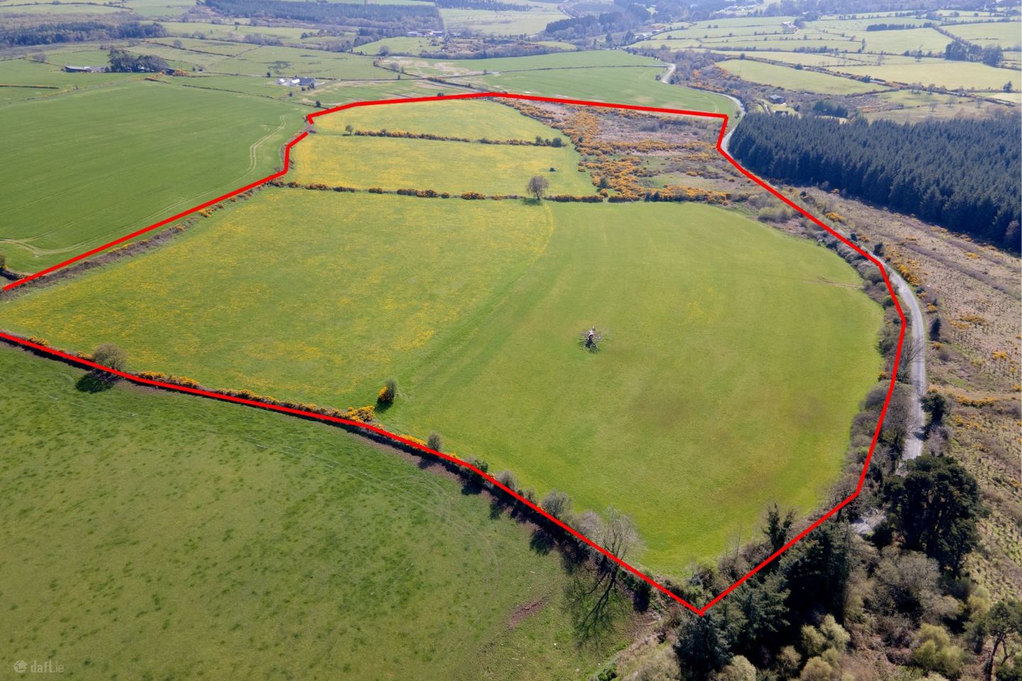c.39 acres (15.79Ha) Slanelough, Ashford, Co. Wicklow