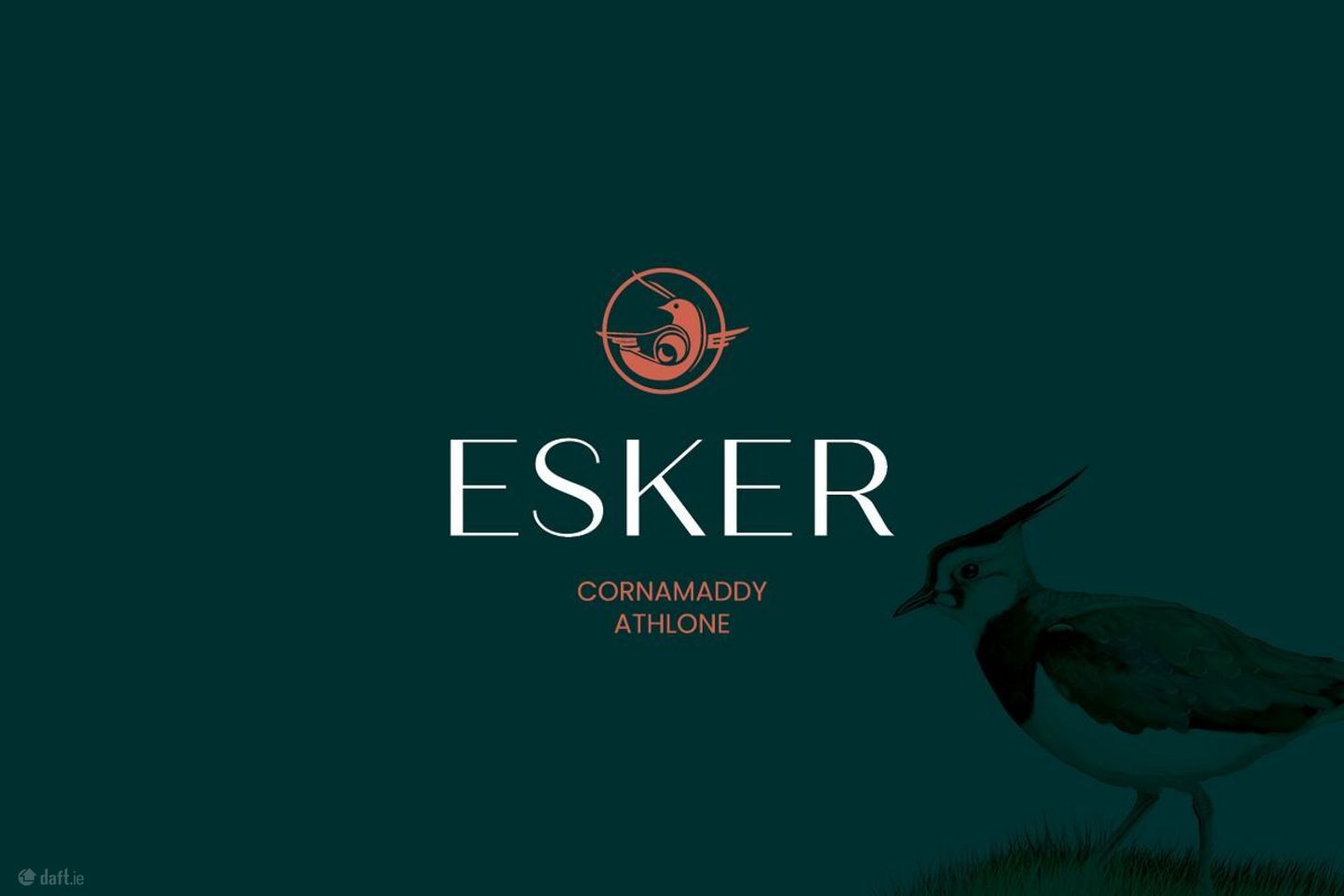 Esker, Cornamaddy, Athlone, Co. Westmeath, Athlone, Co. Westmeath