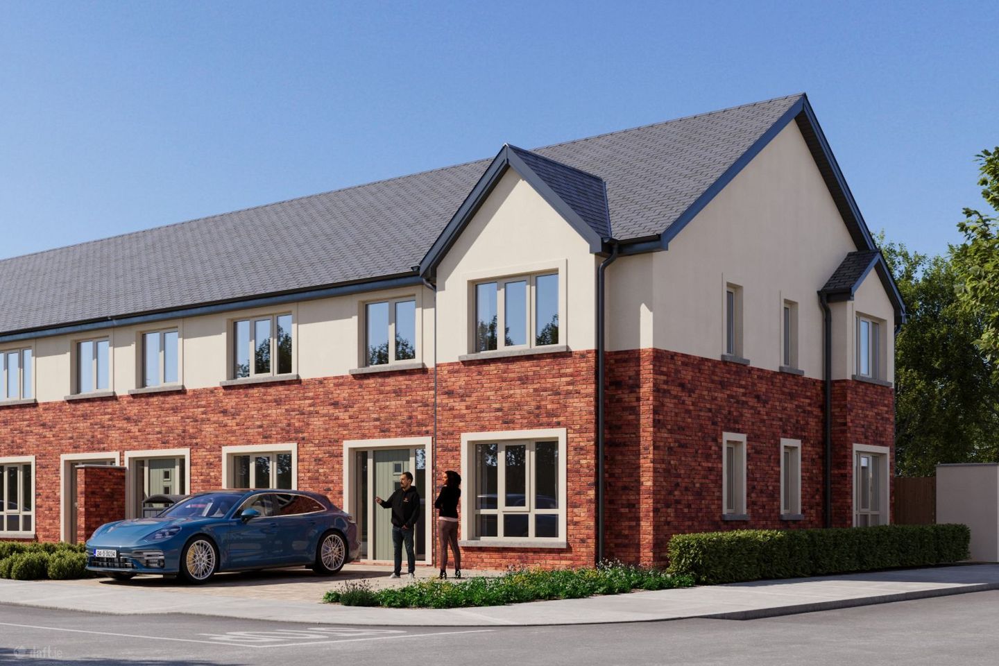 Fern, Millview Demesne, Rathangan, Co. Kildare