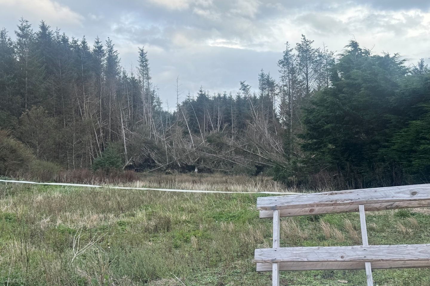 Ballytarsna, Kilshanny, Co. Clare, V95AEH5