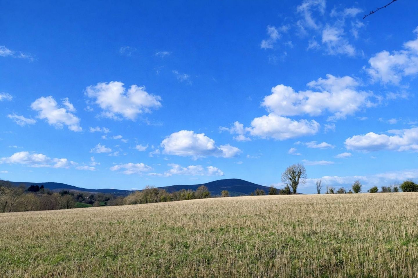 Garraun Upper (C. 86 Acres), Rathnure, Enniscorthy, Co. Wexford