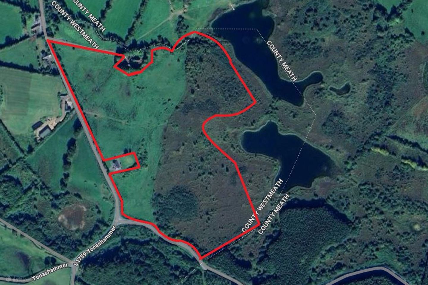 Tonashammer, Castlepollard, Co. Westmeath