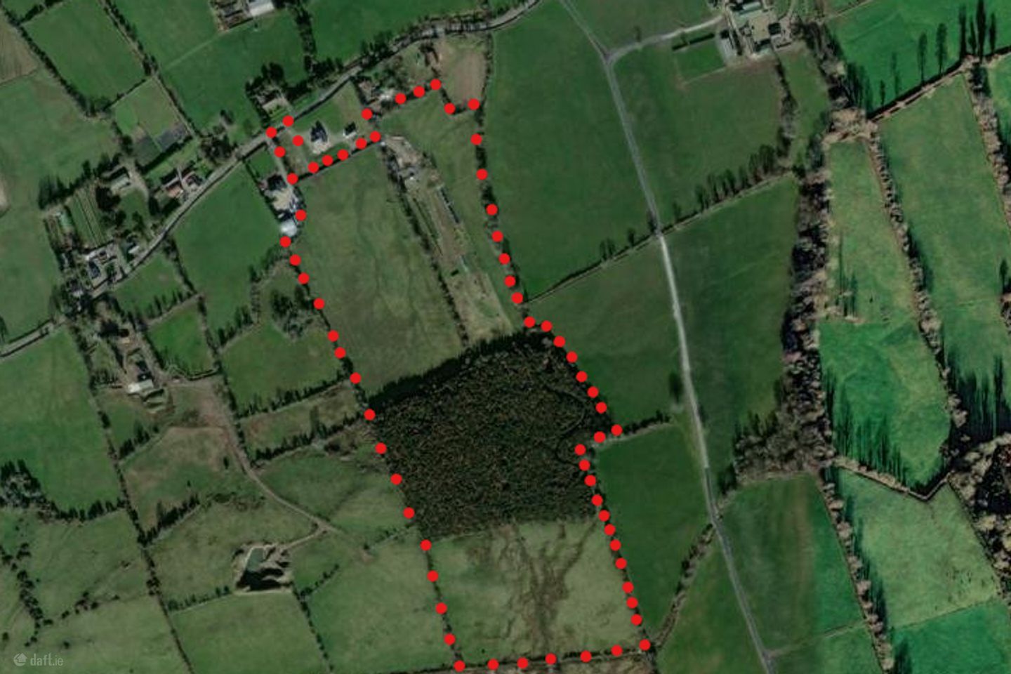 c.29 Acres Land  Forestry, Ballynamrossah, Tipperary Town, Co. Tipperary, E34YE97