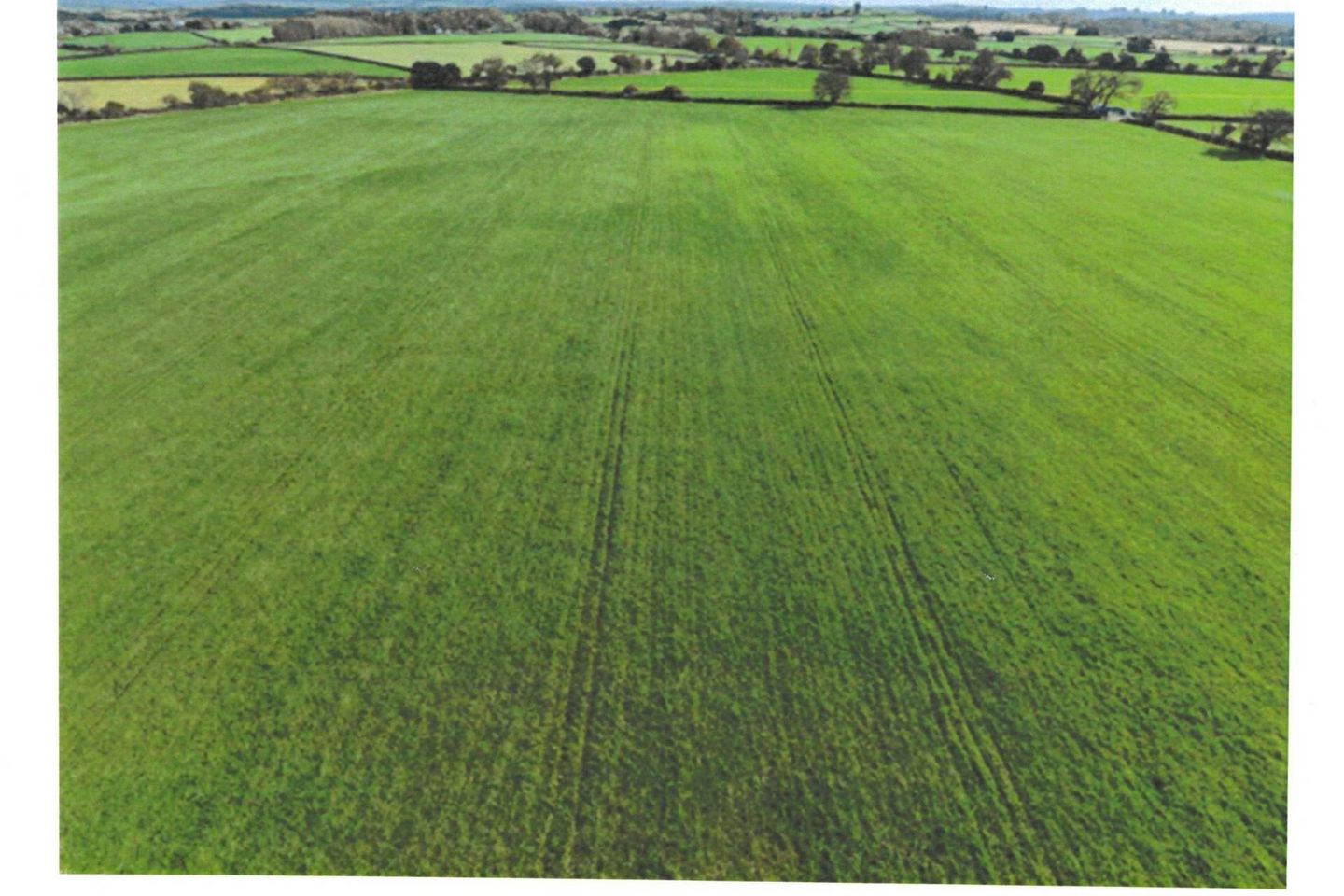 C. 38 Acres Meadow, Ballintubber, Castlerea, Co. Roscommon