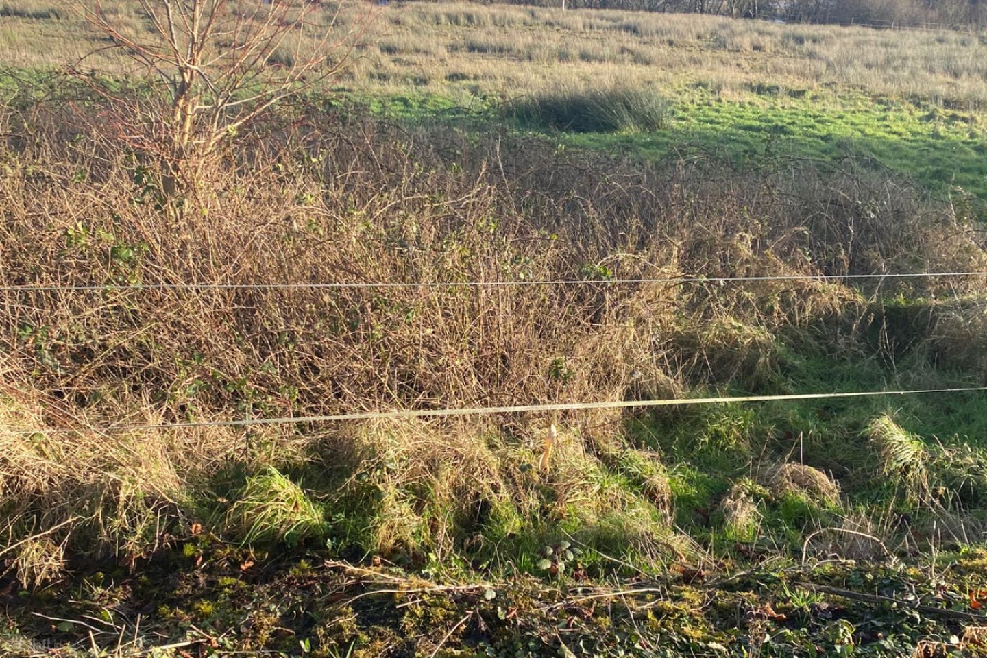 Hawthorn Avenue, Castlebar, Co. Mayo