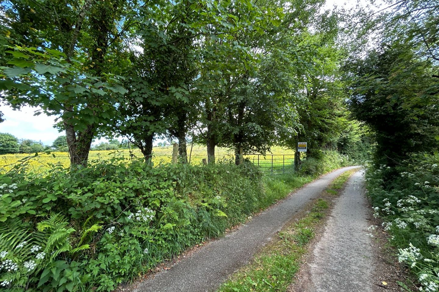 Site at Ballycorrigan, Ballina, Co. Tipperary