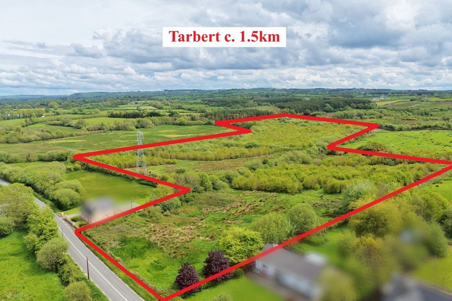 16.48 Acre Forestry Plantation Carhoona, Tarbert, Co. Kerry