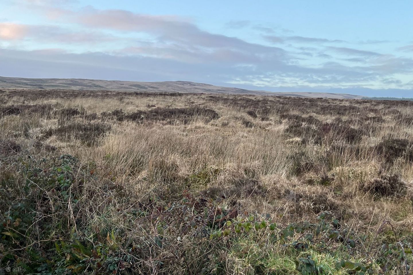 Bohatch, Mountshannon, Co. Clare