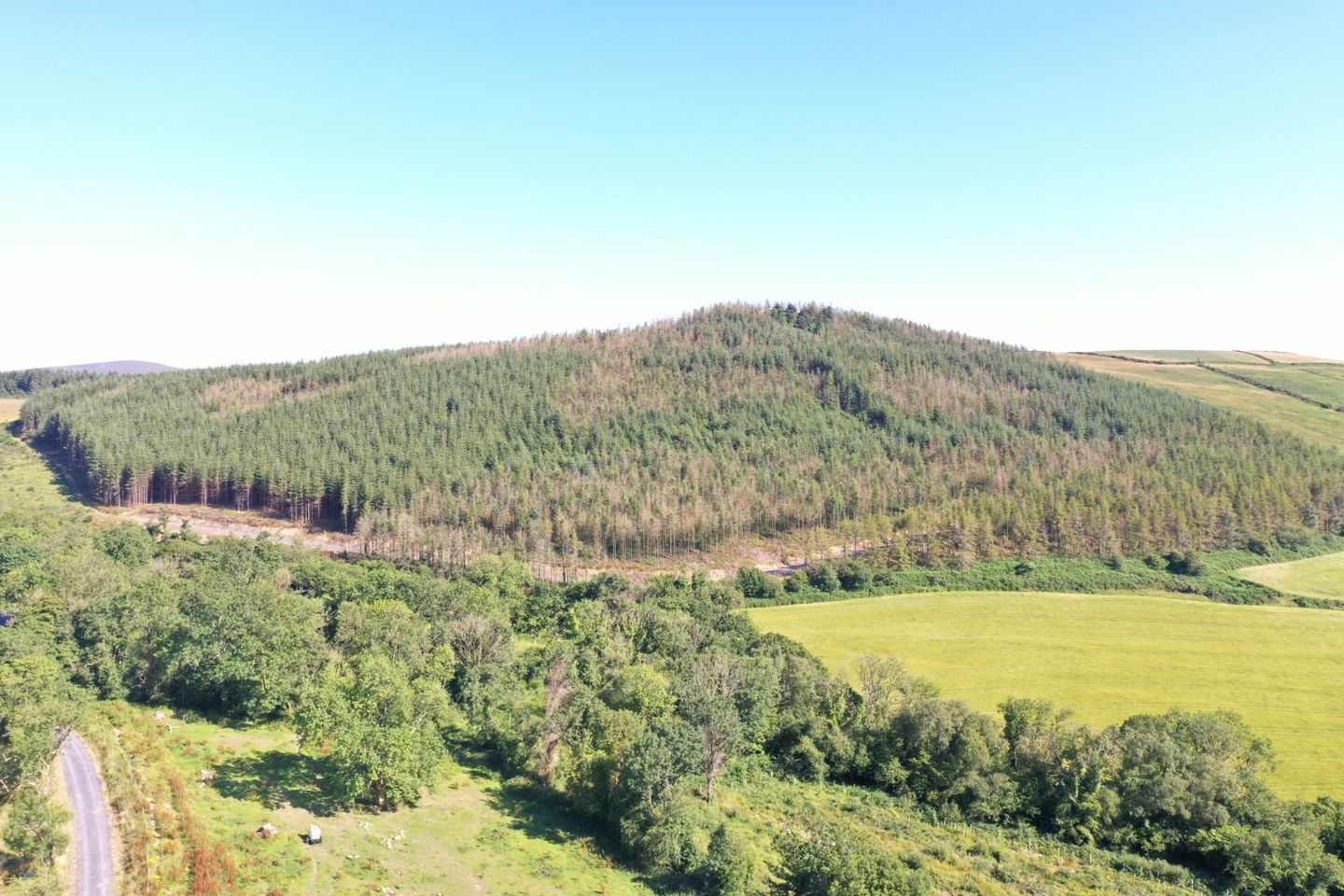 Saddle Hill, Blessington, Thomastown, Co. Kilkenny