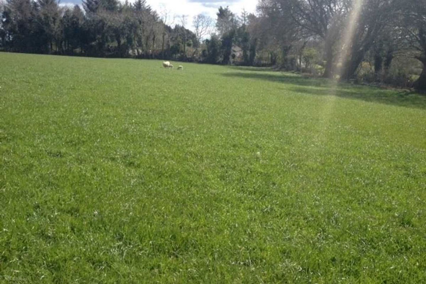 Broomfield, Slane, Co. Meath