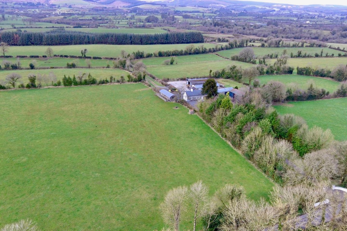 Avenue Farm, Rossnadough, Camross, Co. Laois, R32XD68