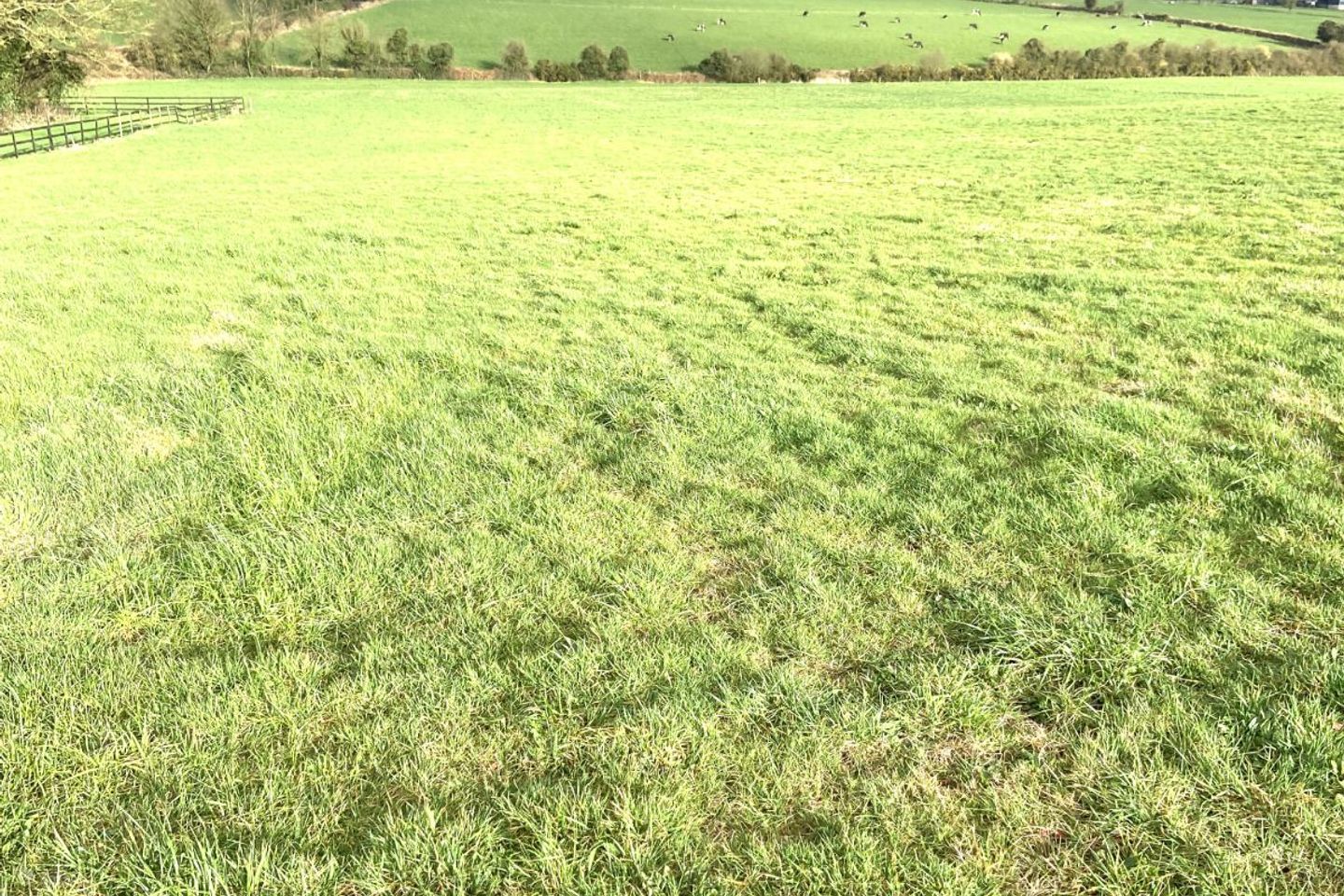 Tully 35 HT67, Glenroe, Co. Limerick