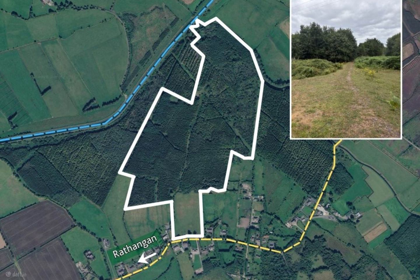 81.6 Acres Feighcullen, Rathangan, Co. Kildare
