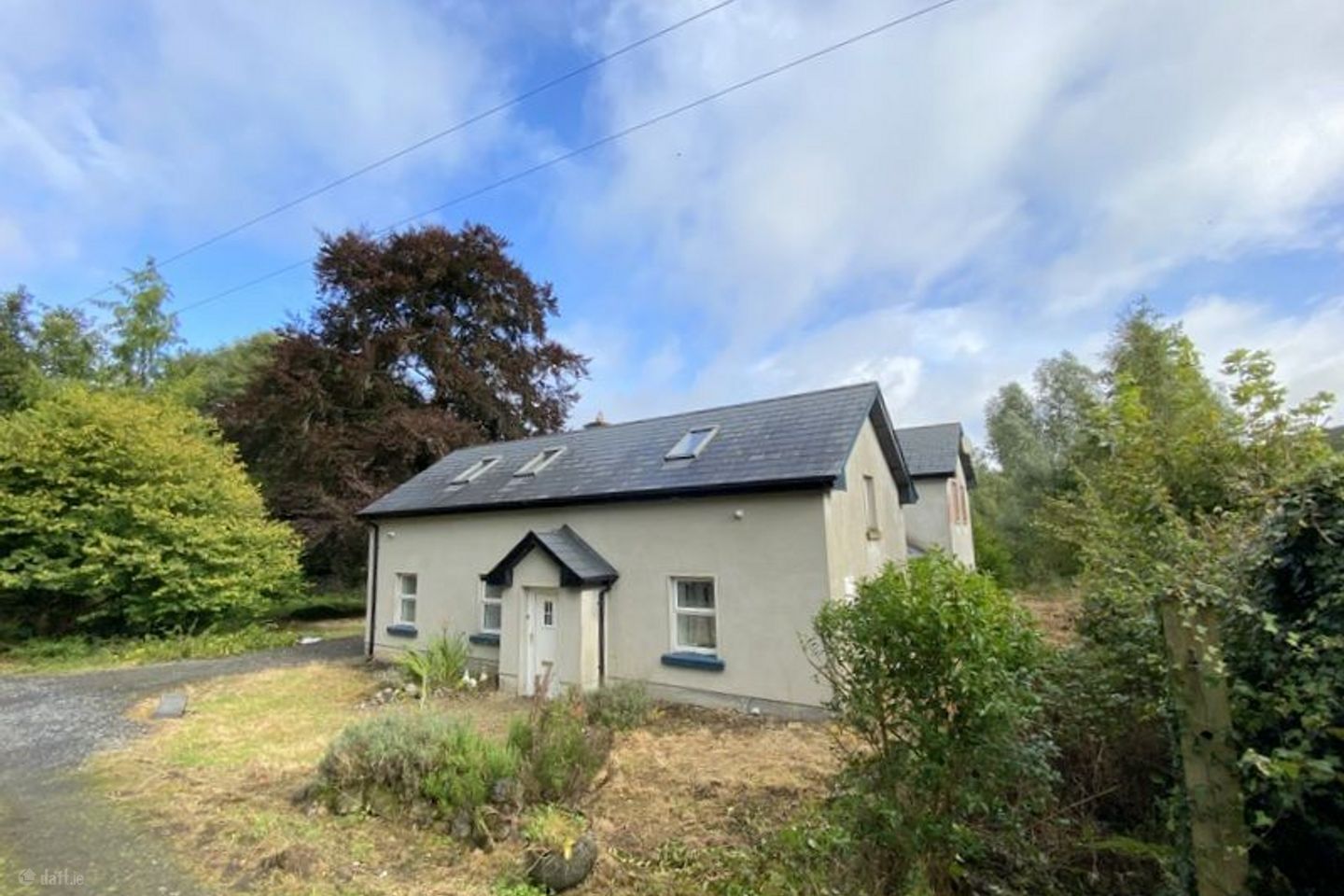 Ben, Fore, Castlepollard, Fore, Co. Westmeath, N91A582