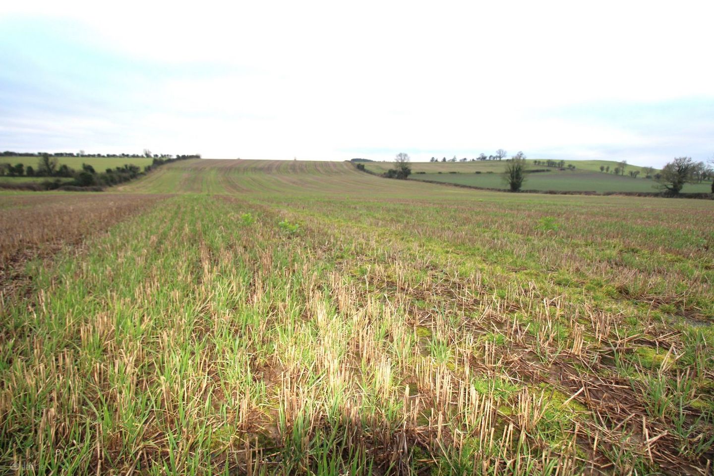 Faughalstown , Castlepollard, Co. Westmeath