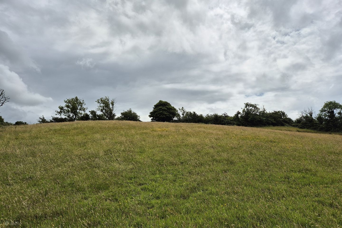 Taghart North, Shercock, Co. Cavan