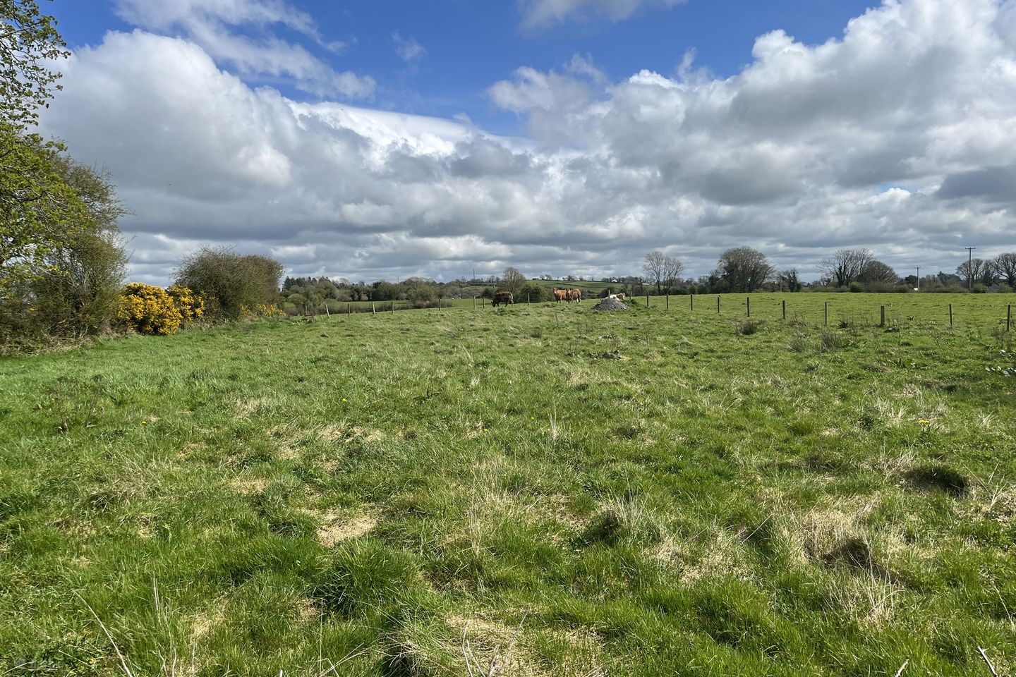 Circa 0.75 acre site at Ballyhowley, Knock, Co. Mayo