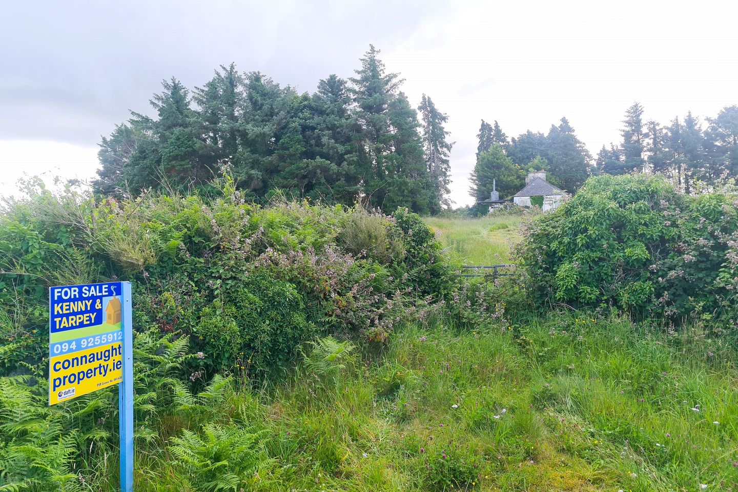 Crossbeg, Aghamore, Ballyhaunis, Co. Mayo, F35WN60