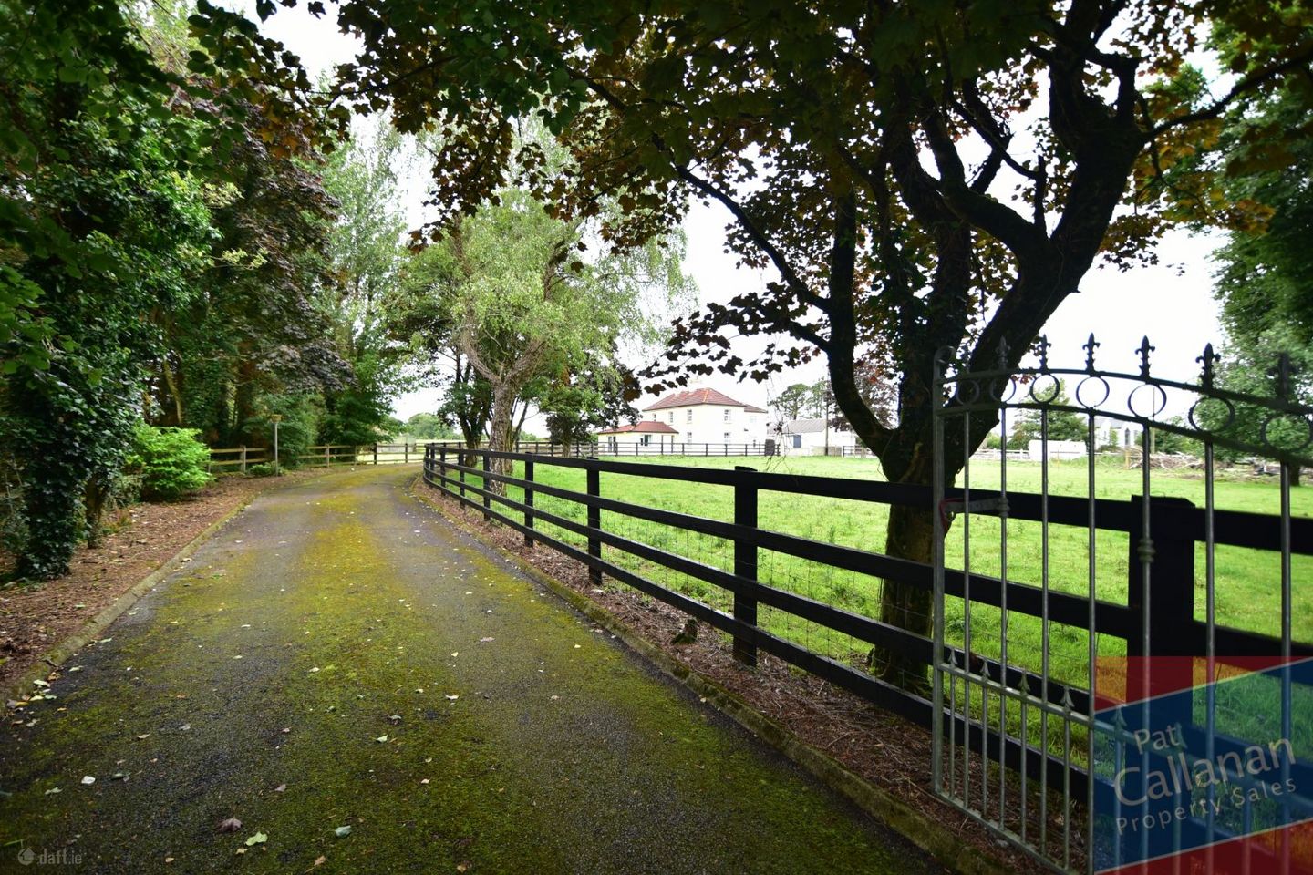 Killaclogher, Monivea, Athenry, Co. Galway, H65T623