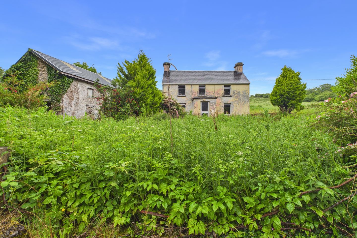 Srahaunananta, Kilnadeema, Loughrea, Co. Galway, H62NW18
