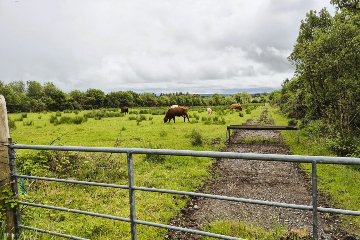 Sargura, Charlestown, Bellaghy, Co. Sligo