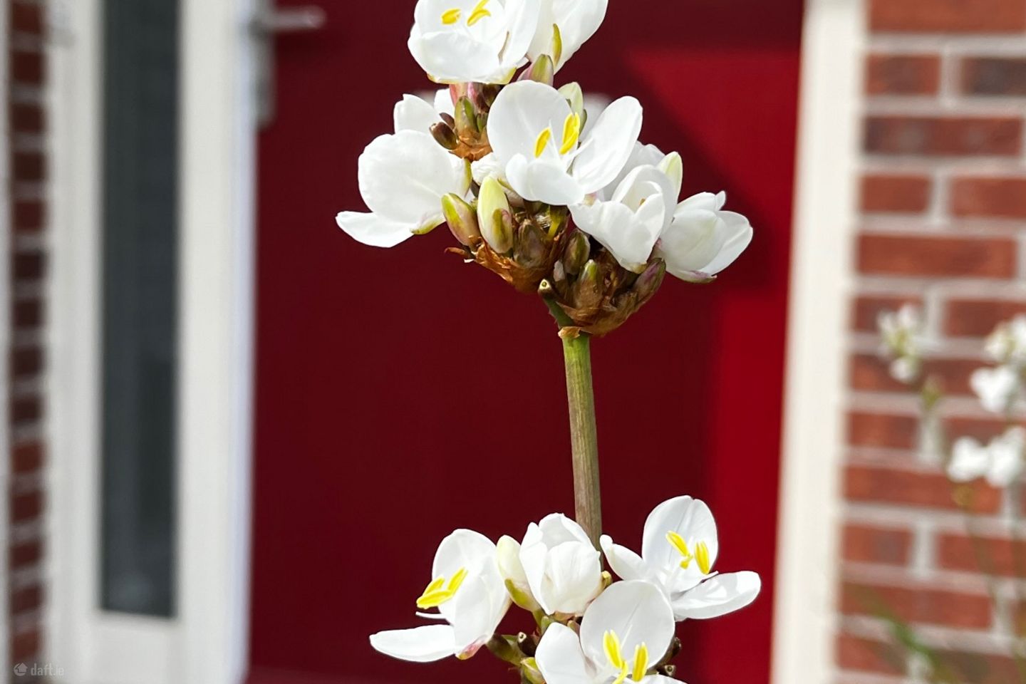 Grace Park Way, Grace Park Wood, Dublin 9, Drumcondra, Dublin 9