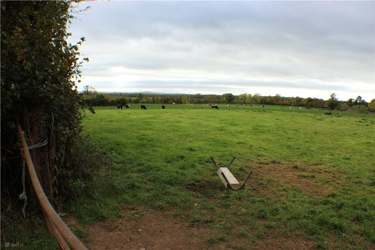 Laffina, Clonoulty, Cashel, Co Tipperary, E25X292