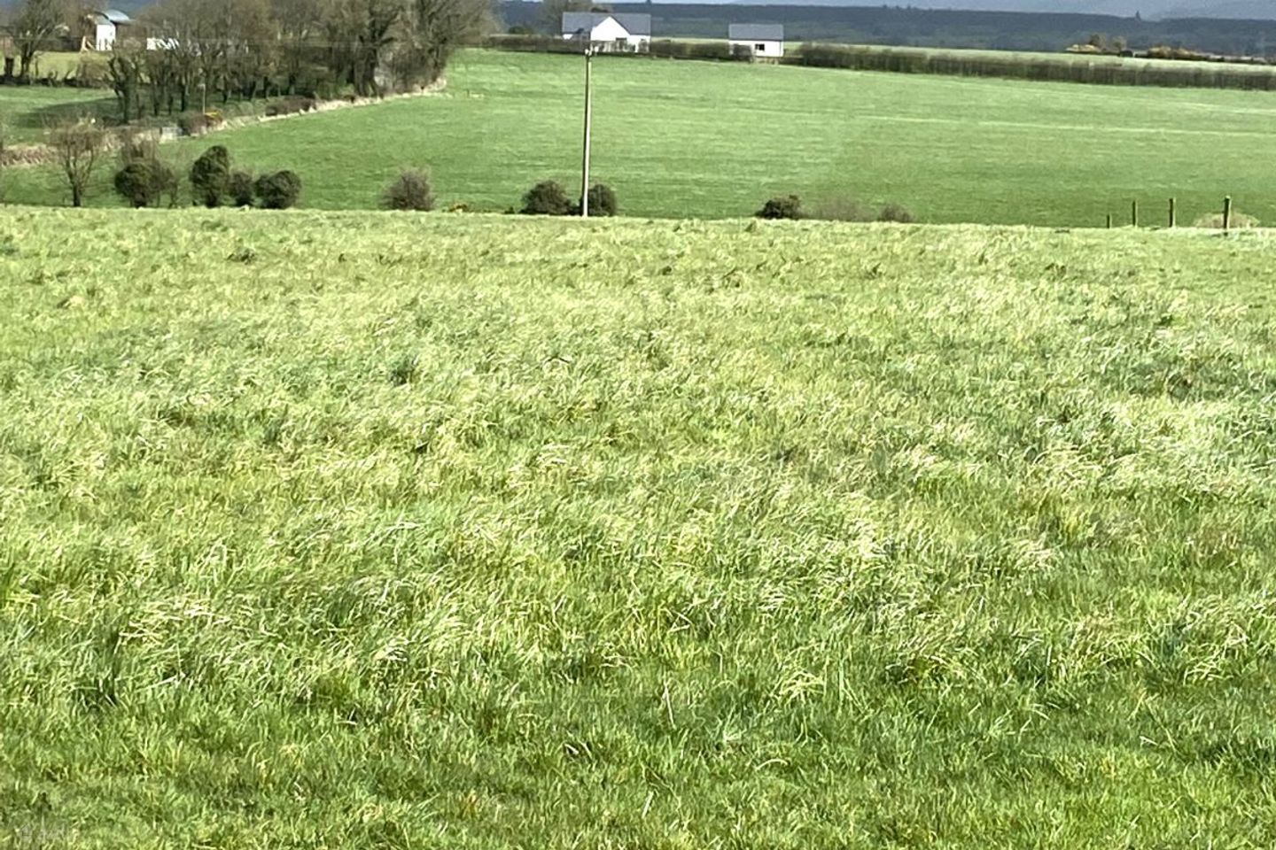 Tully, Glenroe, Co. Limerick