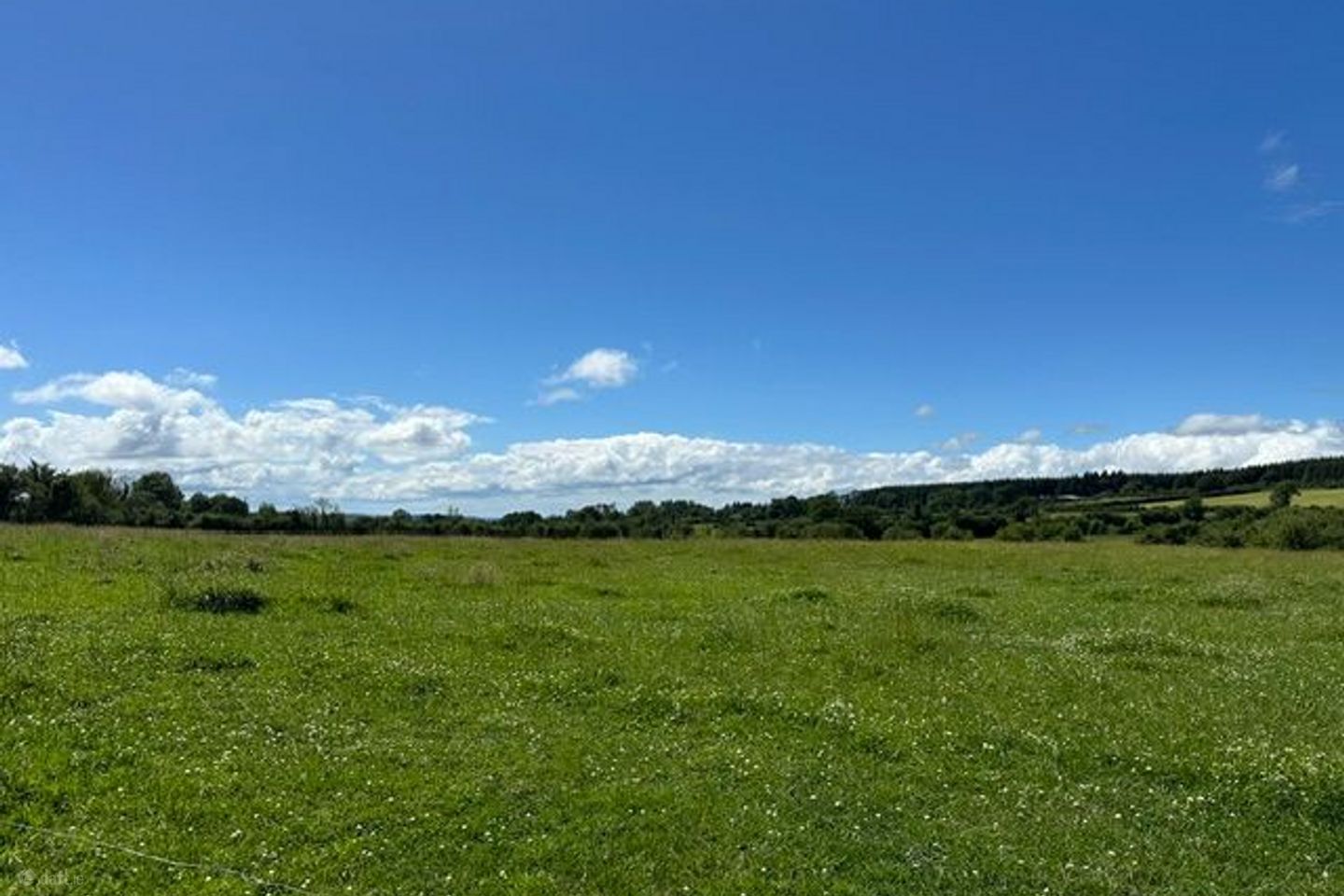 Lickfinn, Ballynonty, Co. Tipperary, E41DR70