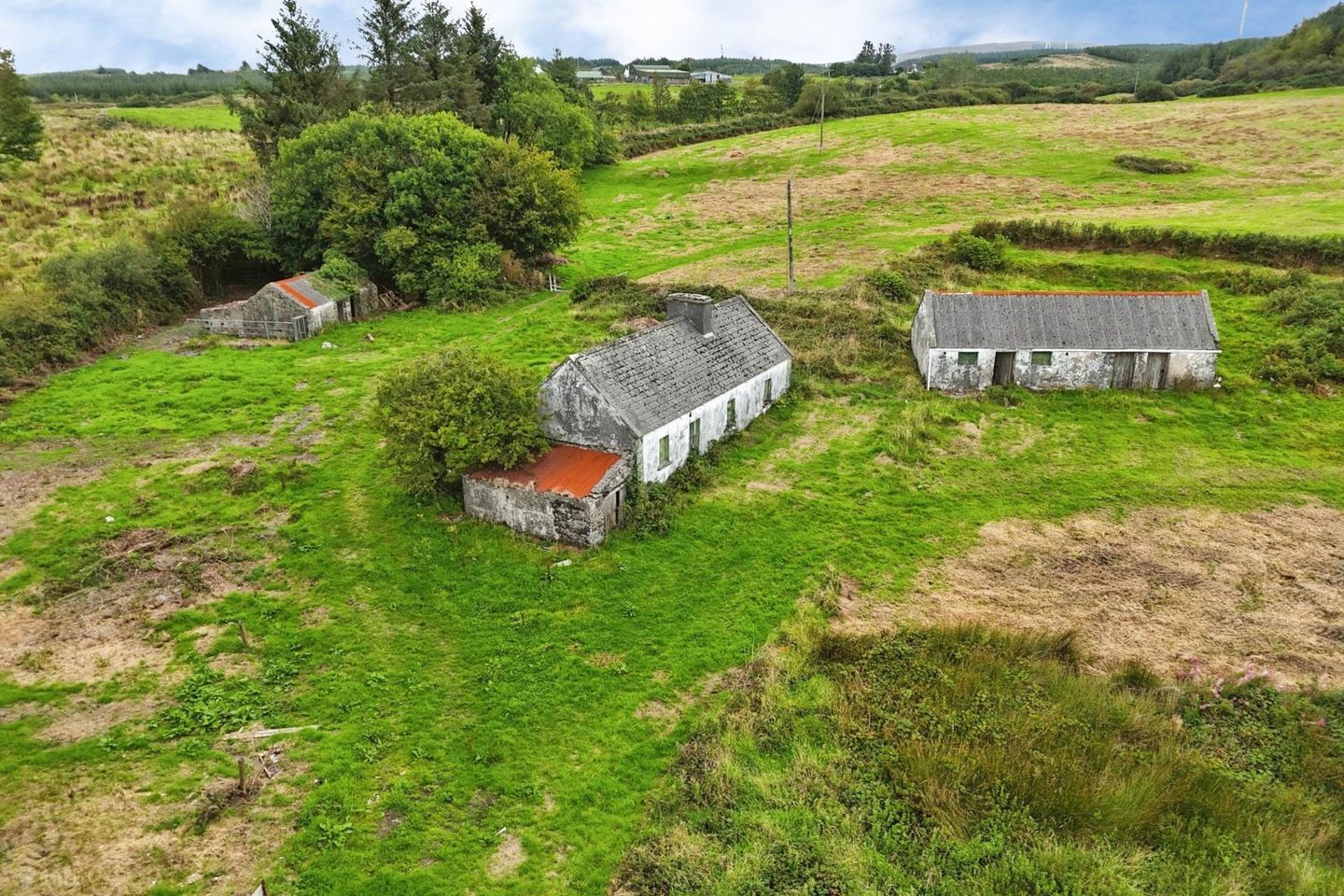 Cloonlaheen Middle, Mullagh, Co. Clare, V95XXXX